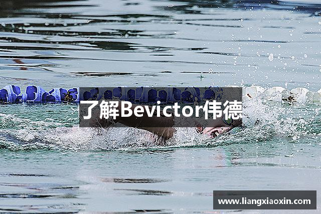 了解Bevictor伟德